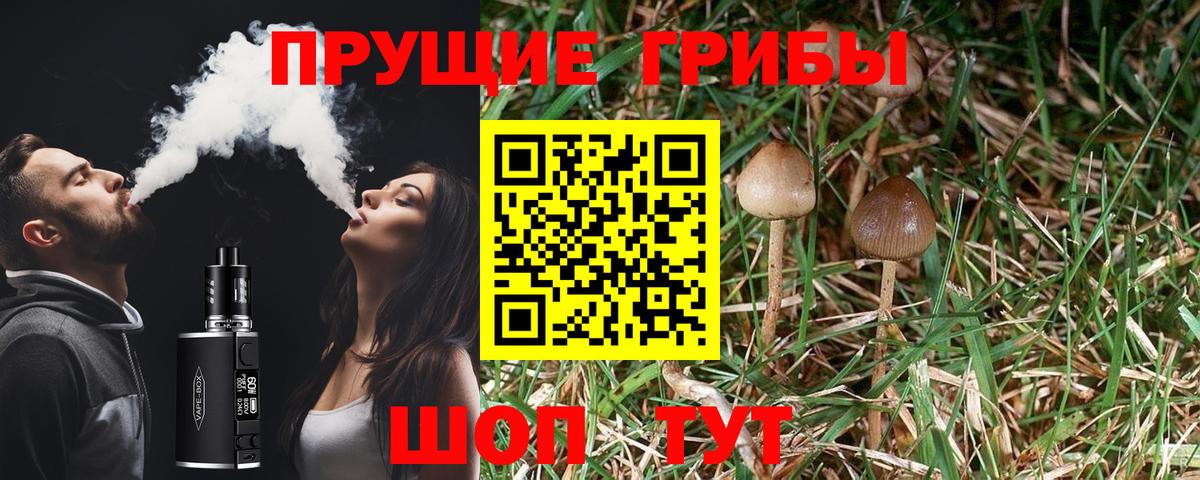 Псилоцибиновые грибы Magic Shrooms Родники