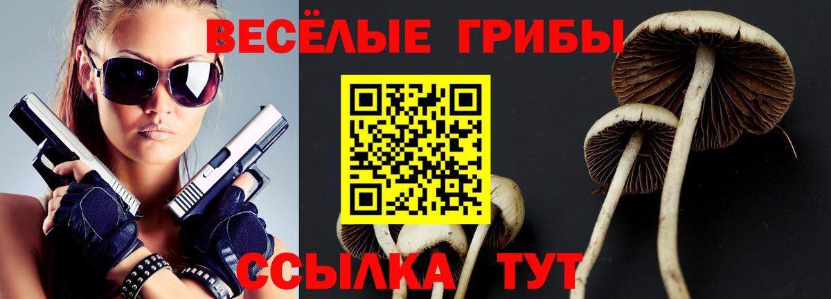 Родники  Псилоцибиновые грибы Cubensis  Вход с VPN  Галлюциногенные грибы MAGIC MUSHROOMS 